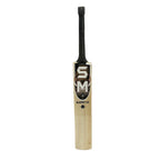 BLASTER T-20 KASHMIR WILLOW CRICKET BAT