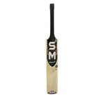 BLASTER T-20 KASHMIR WILLOW CRICKET BAT