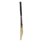 BLASTER T-20 KASHMIR WILLOW CRICKET BAT