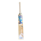 Club Fighter English Willow Cricket Bat 2026/2027 Edition
