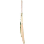 US 100 Plus Cricket Bat – Junior