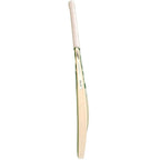 US 100 Plus Cricket Bat – Junior